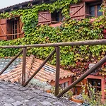 Achada Da Mouca By Homie 산타나