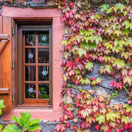 Achada Da Mouca By Homie Domek alpejski *