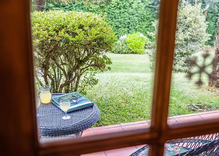 Achada Da Mouca By Homie Santana (Madeira)