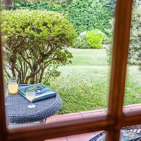 Achada Da Mouca By Homie サンタナ