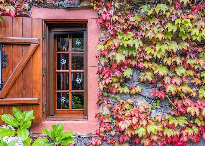 Achada Da Mouca By Homie Horská chata *